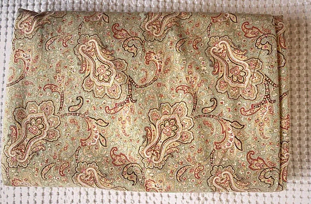 Eddie Bauer Classic Paisley Stripe Sage Twin Duvet Cover
