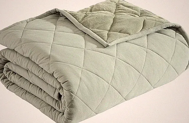 Eddie Bauer Queen Size Reversible Plush Blanket - Soft Green Throw for Bed & Cou