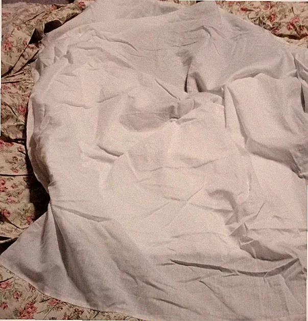 Vintage Queen Antique Rose Cotton Blend Ruffled Bed Skirt