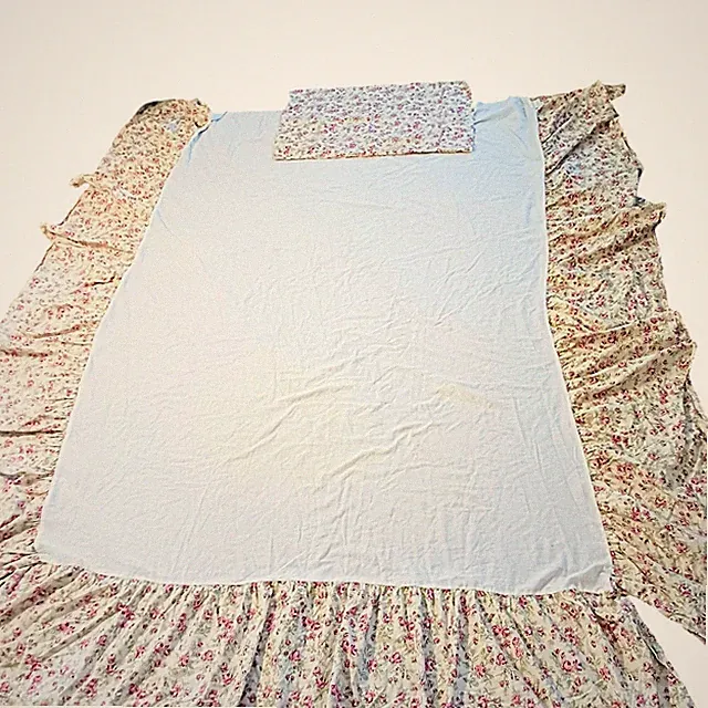 VNT Eddie Bauer Bedskirt & Pillowcase FULL Beige Floral Rose COTTON Romantic B&B